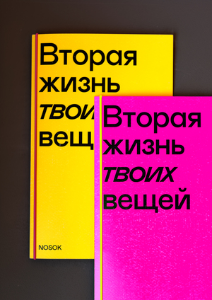 Nosok — Вторая жизнь твоих вещей | ЗИН