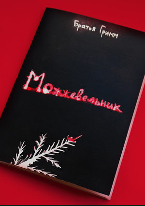 Можжевельник иллюстрации