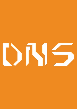 Ребрендинг сети магазинов «DNS»