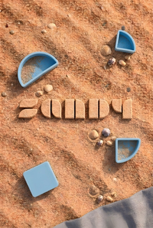 SANDY SANDY