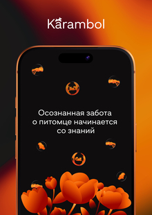 Медиа-сервис о&nbsp;безопасности домашних животных «Karambol»