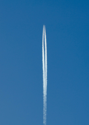 We share the same sky