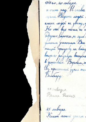 Дневник доктора Полякова. Путь морфиниста