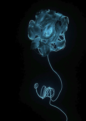 LINUM