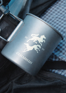 Сенавиан