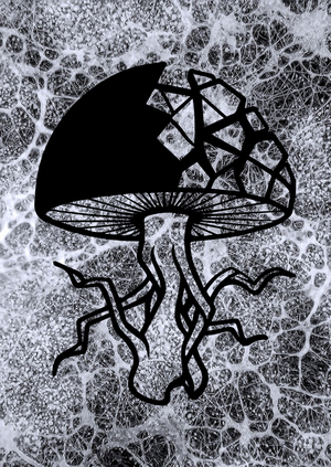 Mycelium Code
