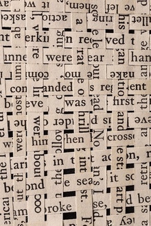 Newspaper