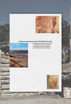Национальный парк Petrified Forest 