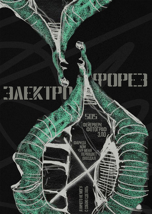 Плакат к альбому «505» Электрофорез 