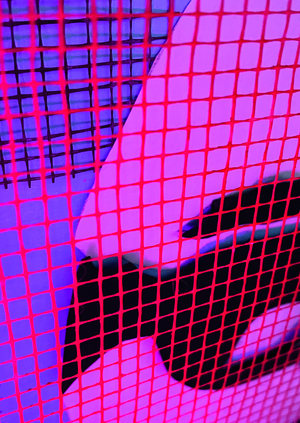 Макет выставочного пространства «Космос Вазарели»