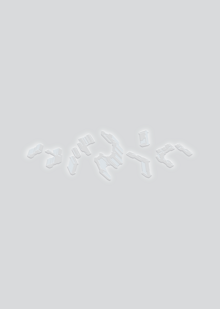 FLATY [RAILZ]