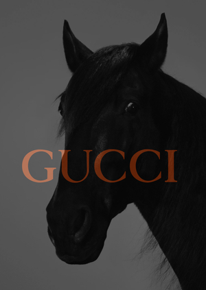  GUCCI campaign research