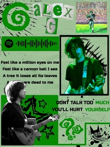 Музыкальный плакат Alex G Музыкальный плакат Alex G