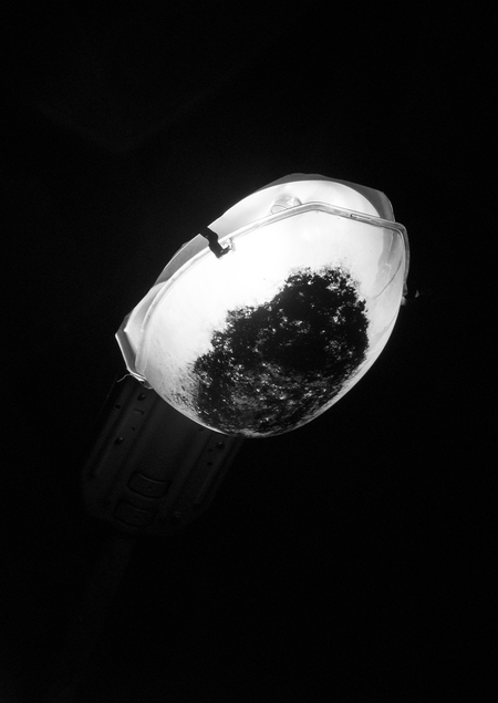 Как ухаживать за поверхностью с помощью света. Фотокнига