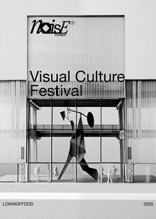 NOISE Visual Culture Festival