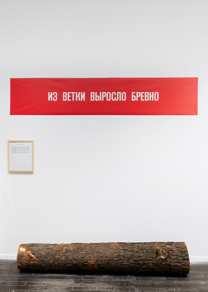 Из ветки выросло бревно