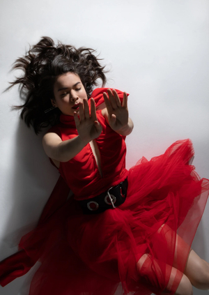 Визуализация одиночества и отчуждения в творчестве Mitski