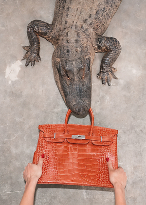 Birkin: Визуальный код XX–XXI веков