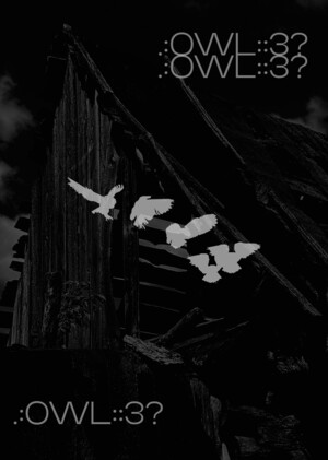 .:OWL::3?