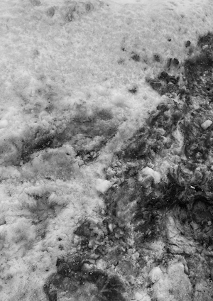 MOSCOW LOVE SNOW x REHABSHOP