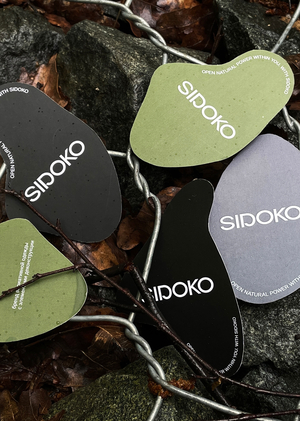 Айдентика бренда SIDOKO