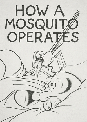 Сюрреализм до сюрреализма: "How a mosquito operates"