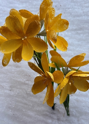 Якутская зима 