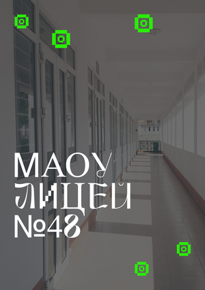 Айдентика МАОУ Лицей №48