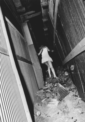 Природа в субъекте: кантовский гений и фотография
