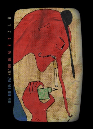 Жизнь насекомых 