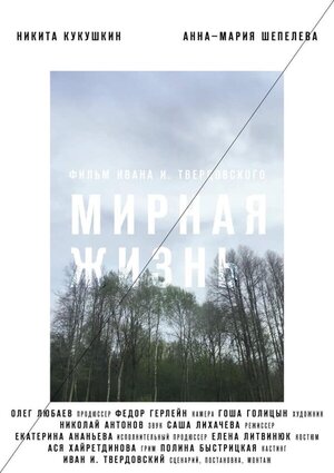 МИРНАЯ ЖИЗНЬ