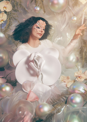Björk: инструменты как медиаторы природы, технологии и тела