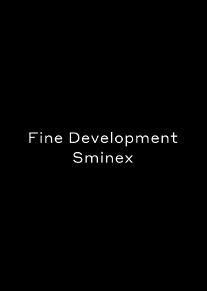 Fine Development
