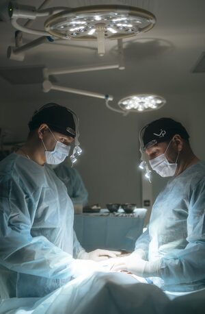 Архитектура русского классицизма: от Екатерины II до Александра I