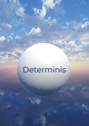 Detrminis — Интерактивная виртуальная выставка о выборе