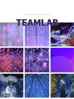 Иммерсивность как кураторская стратегия в цифровых выставках teamLab