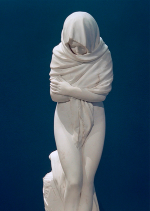 Эволюция визуальных практик эскпозиций  Musée Fabre