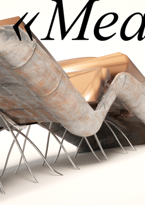 «Mea Tulpa»