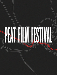 Брендинг деревенского кинофестиваля PEAFF