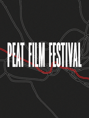 Брендинг деревенского кинофестиваля  PEAFF