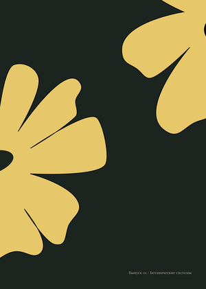 FLORESCENCE