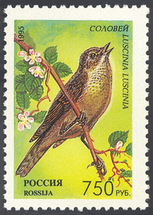 Курский соловей