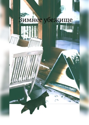 Зимнее убежище для кошек