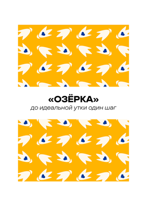 Разработка креативной концепции по продвижению продуктов бренда «Озёрка»