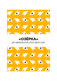 Разработка креативной концепции по&nbsp;продвижению продуктов бренда «Озёрка»