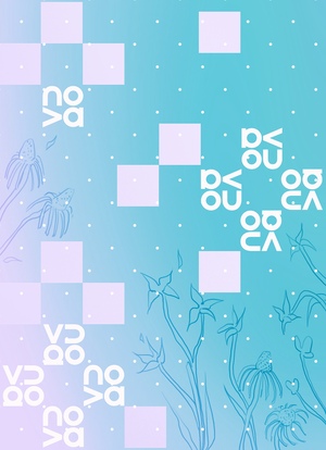 Дизайн HUAWEI nova
