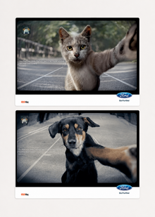 Разбор рекламной кампании Ford Rear View Camera