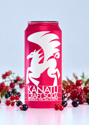 KANATLI: татарский лимонад