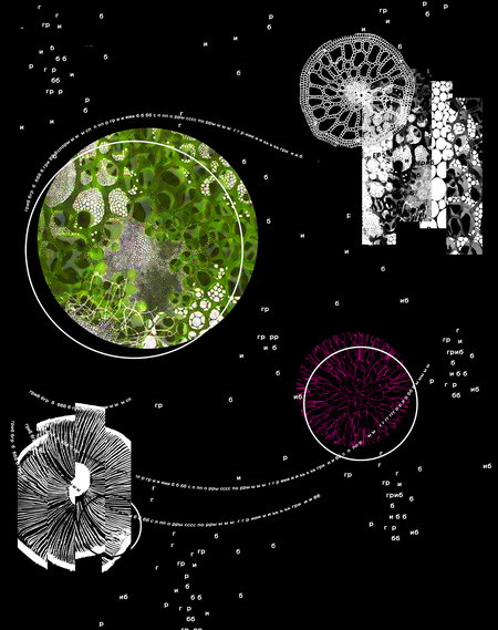 Книга о ночном клубе ГРИБНЯК