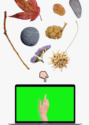 руки не дошли